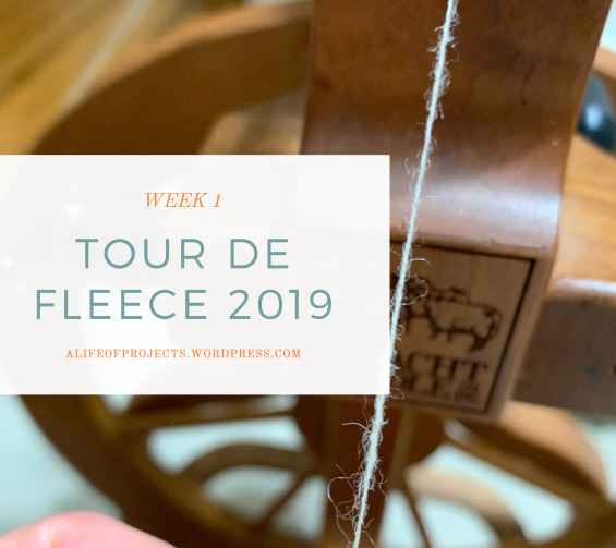 TDF 2019 Week 1 | A Life of Projects